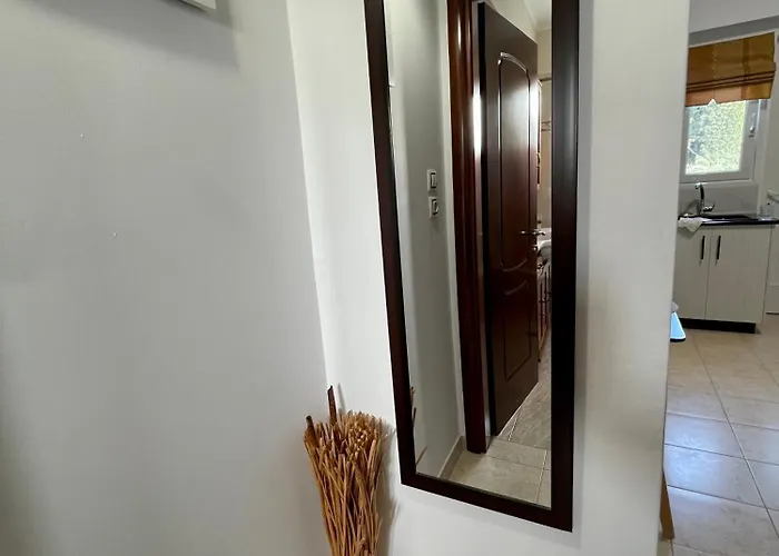 Physis * 코스 타운