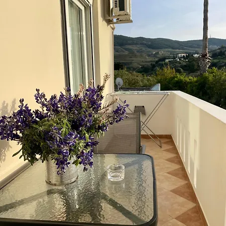 Physis コス・タウン