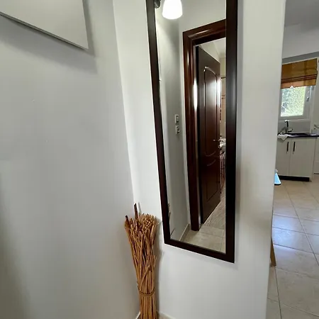 Physis * コス・タウン